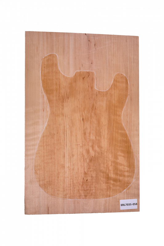 Body Alder, European,1-pc., Unique Piece #058